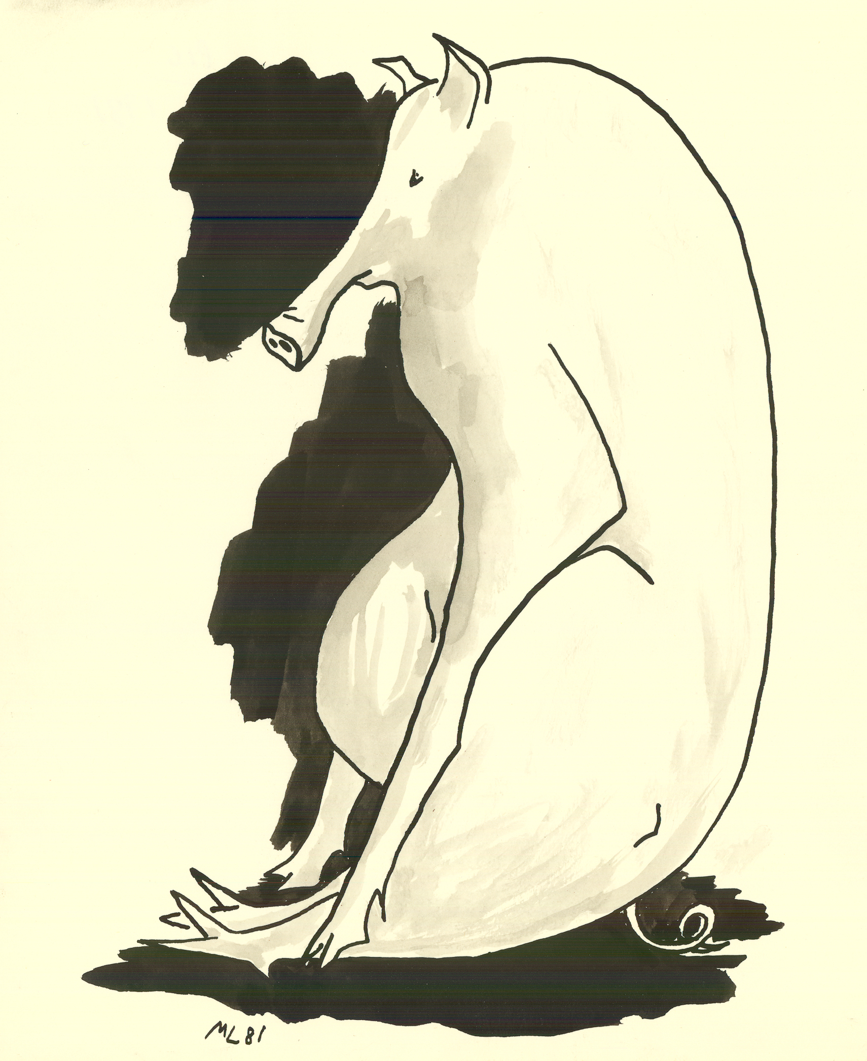 Pig<br>Ink on paper<br>9-3/4 X 8 Inches<br>January - 1981<br>