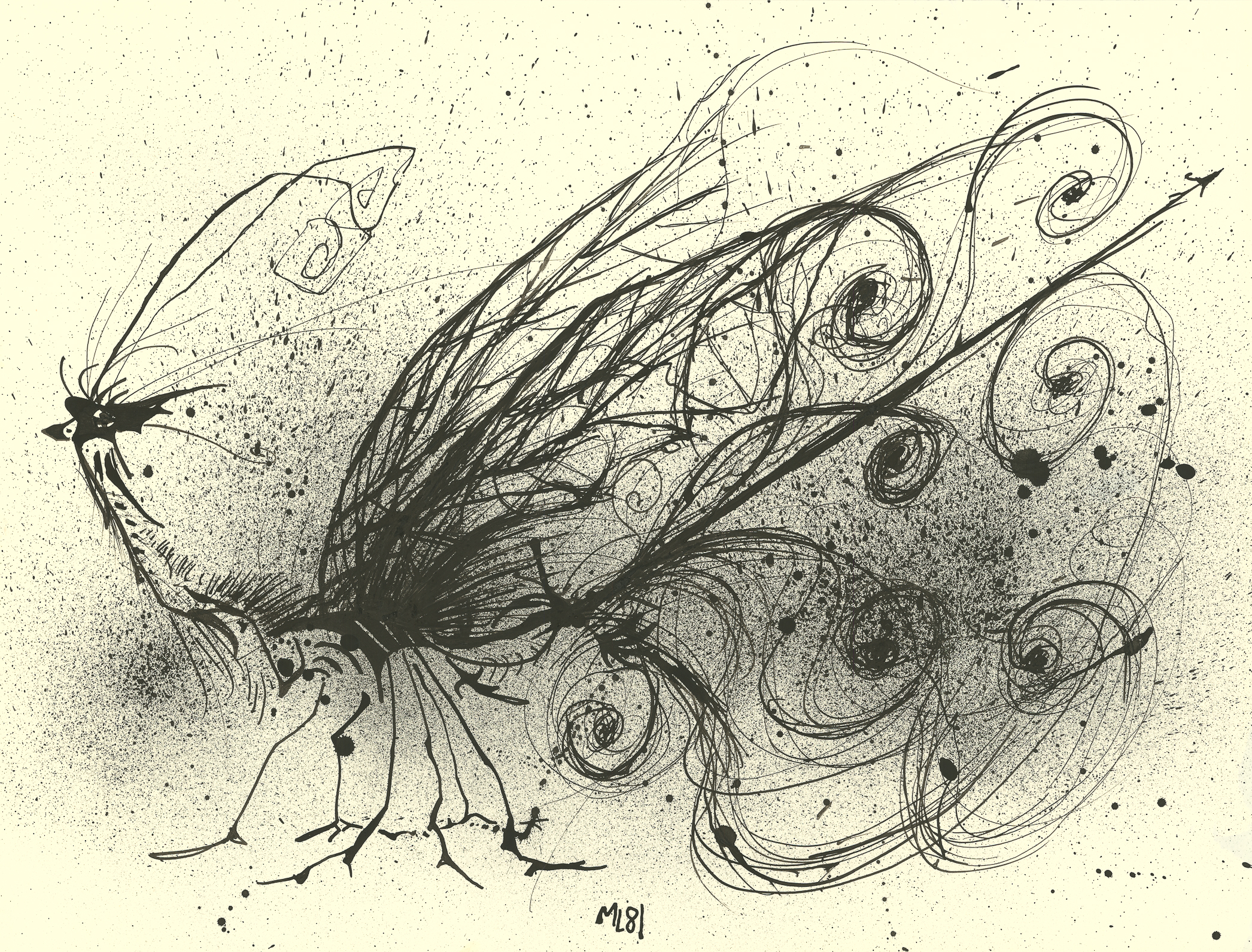 <i>Mayfly</i><br>Ink on paper<br>18 X 24 Inches<br>Dated - 1981<br>