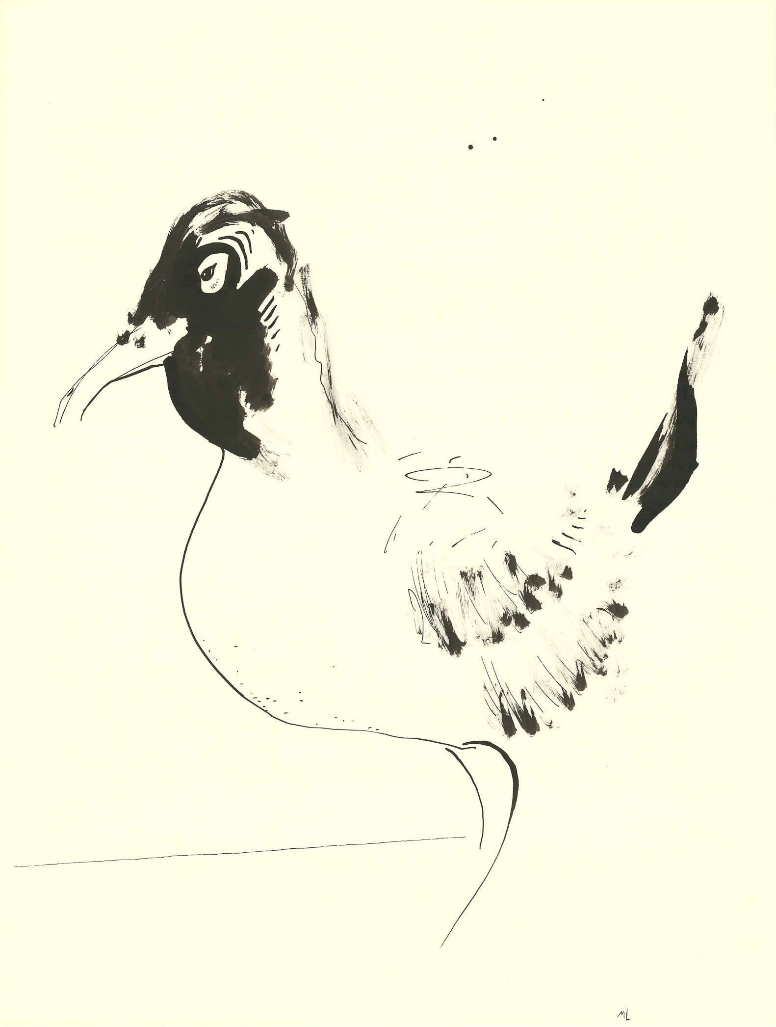 <i>Laughing Gull # 1</i><br>Ink on paper<br>Laughing Gull Series<br>24 X 18 Inches<br>May - 1983<br>