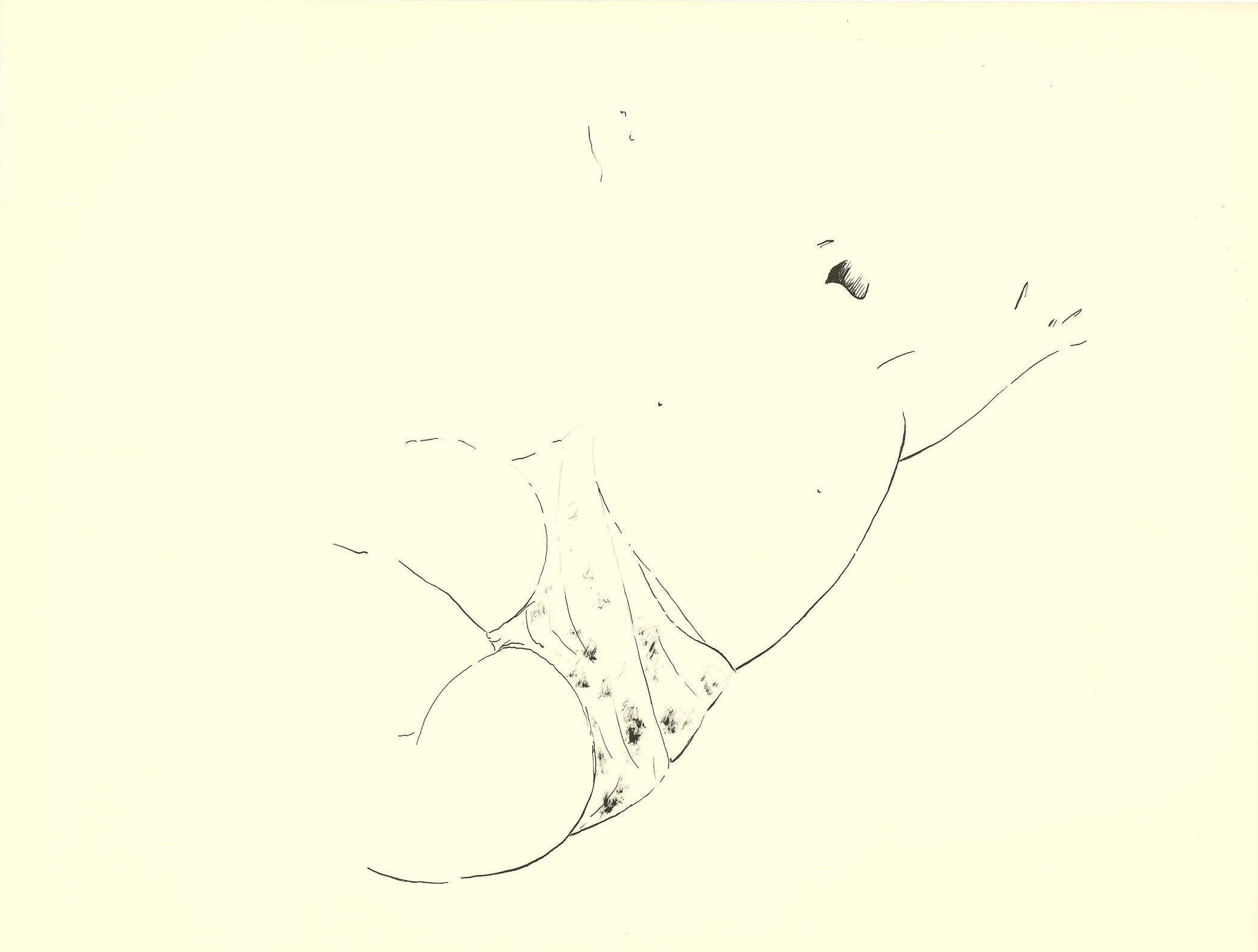 <i>Untitled</i><br>Ink on paper<br>18 X 24 Inches<br>Circa - 1983<br>